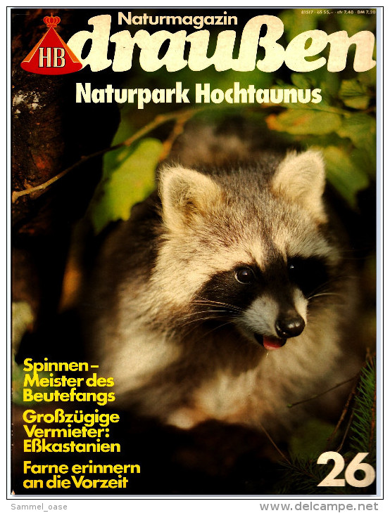 HB Bild-Atlas Bildband Naturmagazin Draußen  -  Naturpark Hochtaunus  -  Farne Erinnern An Die Vorzeit - Reise & Fun