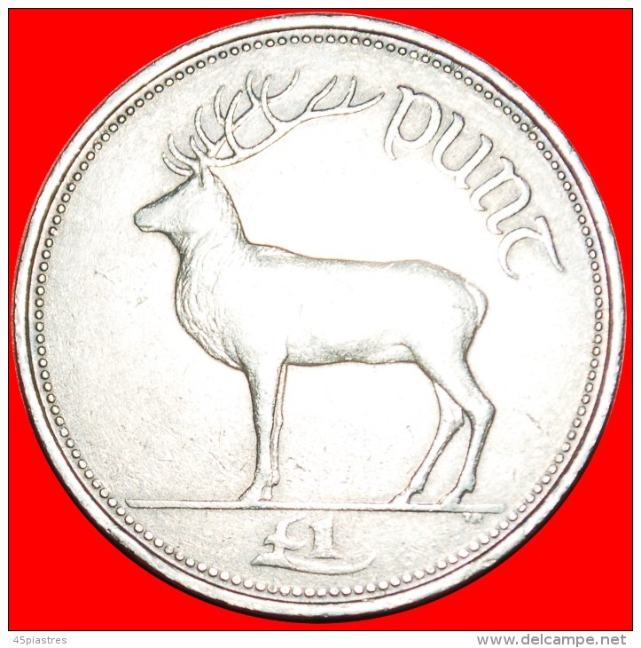 &#9733; DEER: IRELAND &#9733; 1 POUND 1990! LOW START &#9733; NO RESERVE! - Irland