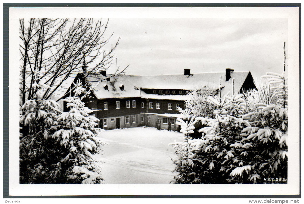 1511 - Ohne Porto - Alte Foto Ansichtskarte - Hotel Waldgut Aschberg Klingenthal - N. Gel. TOP Dick - Klingenthal