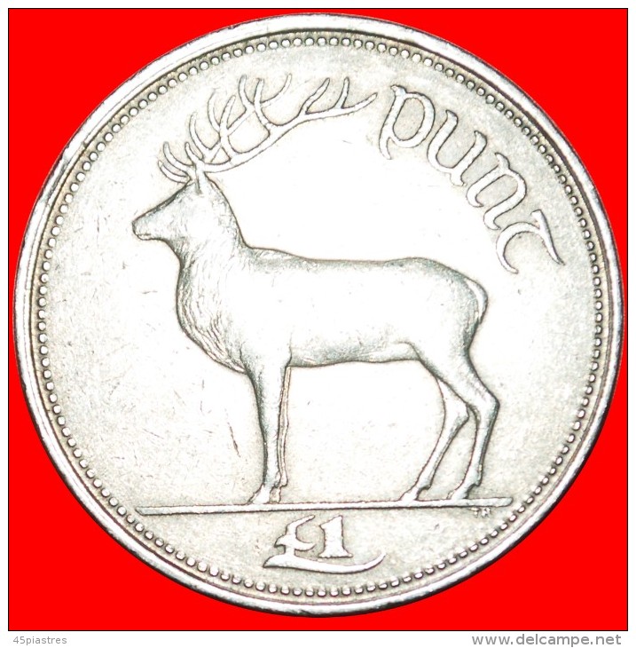 § DEER: IRELAND &#9733; 1 POUND 1995! LOW START &#9733; NO RESERVE! - Ierland