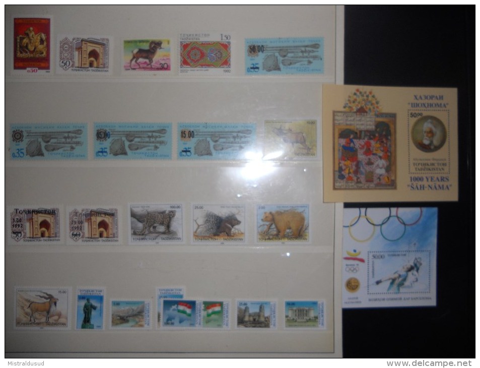 Tadjikistan ,lot De Timbres Neuf - Tadschikistan