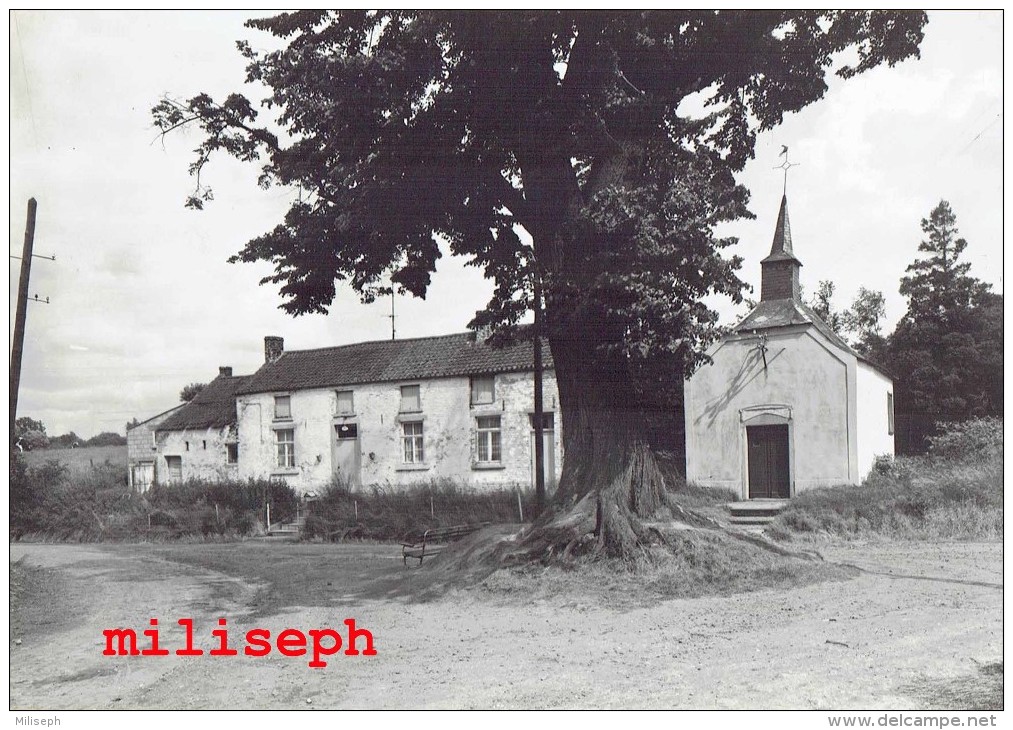 Pont-à-Celles - Chapelle Notre Dame De Grâce - Editeur : Maison ROCH - NELS  (4091- 2 ) - Pont-à-Celles