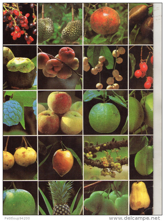 LIVRETS Fruits,Legumes Et Céréales D'ASIE  (lot De 3)   ANNEE 1977 - Practical