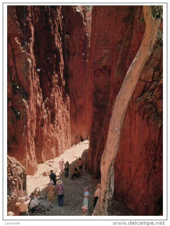 (95) Australia - Standley Chasm - The Red Centre