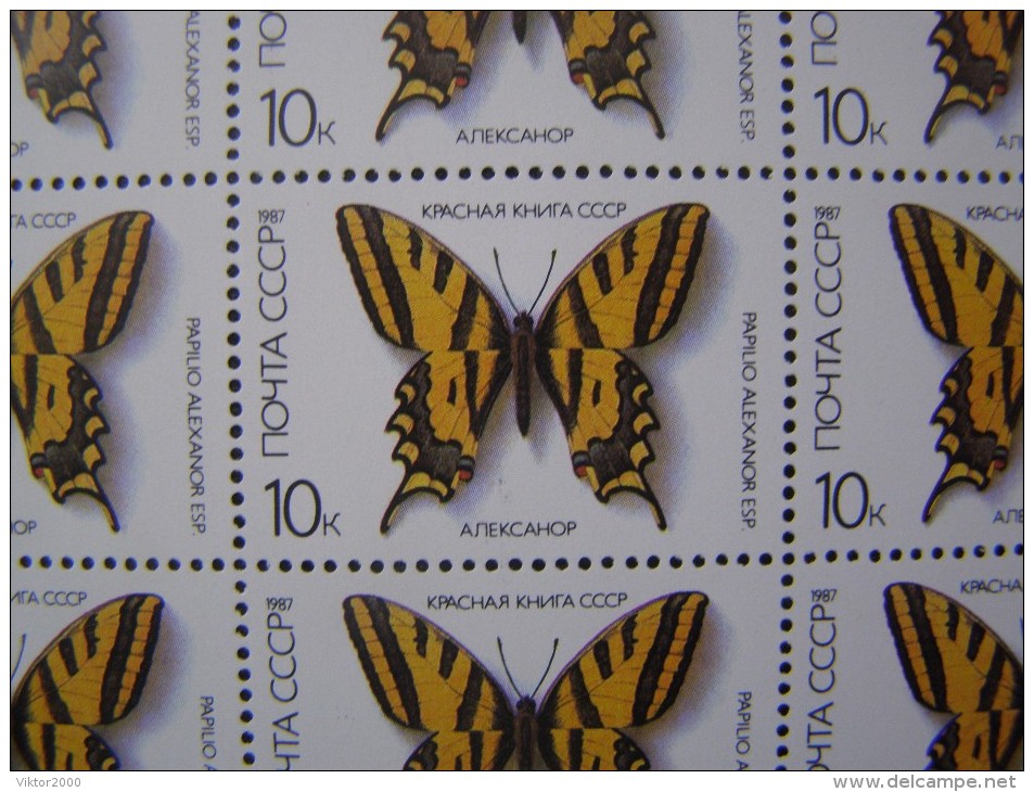 RUSSIA 1987MNH (**)YVERT 5377-78,80 Butterflies/ SHEET 3X36 Papillon/ De La FEUILLE 3X36 - Full Sheets