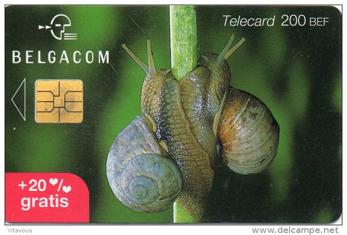 Escargot  Snail  Animal Télécarte Telefonkarten Phonecard R131 - Non Classificati