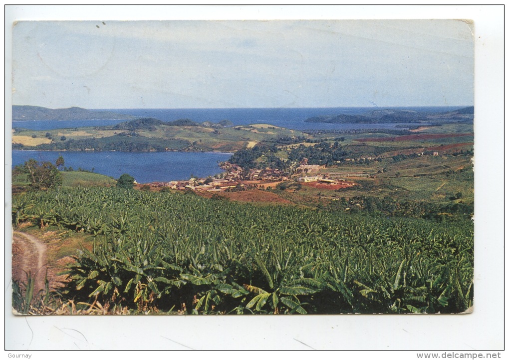 Martinique : Baies De Trinité Et Du Galion (n°94 Rose Rostte) - La Trinite