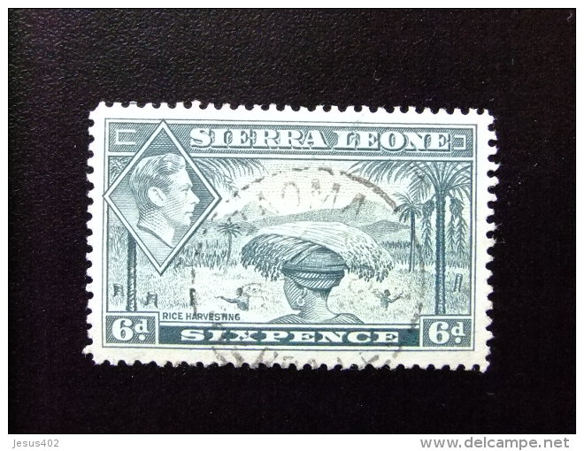 SIERRA LEONE 1938 Yvert N&ordm; 165 &ordm; FU - GEORGE VI RECOGIDA DEL ARROZ - Sierra Leone (...-1960)