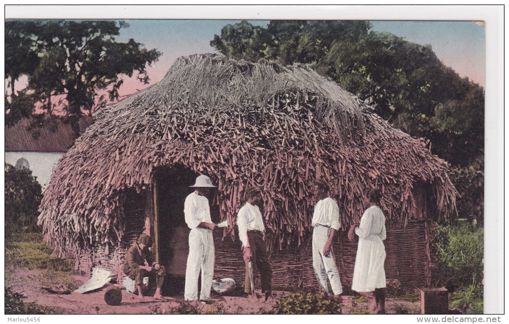 SIRINAM. Native Hut, St Lucia - Surinam