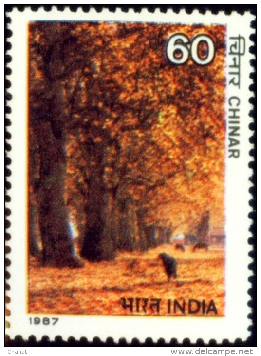 TREES-CHINAR-VALLEY IN KASHMIR-ERROR-INDIA-1987-MNH-B9-165 - Flamingos