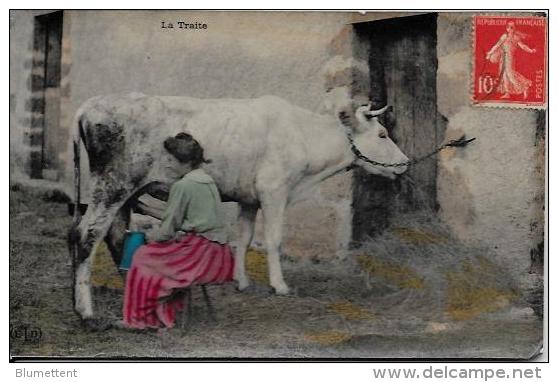 CPA Agriculture Ferme Paysans Culture La Vie Aux Champs Circulé Vache - Cultivation