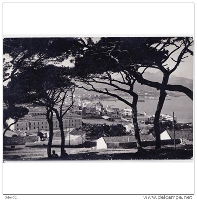 CUTTPA4727-LFTD10762.Tarjeta Postal De Ceuta.Arboles,campo,casas Puerto,barcos Y Y PANORAMICA DE CEUTA - Ceuta