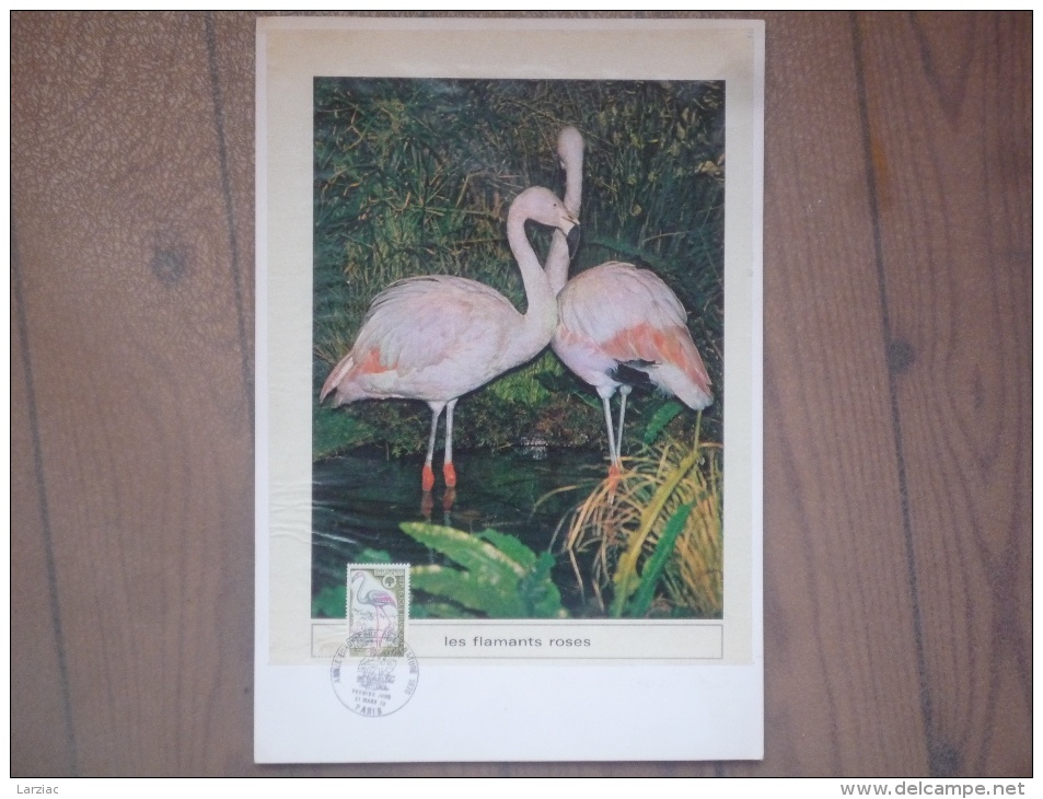 Thème Flamant Rose Page De Magazine Avec Timbre Oblitération 1er Jour Année Européenne De La Nature Paris 1970 - Flamingos