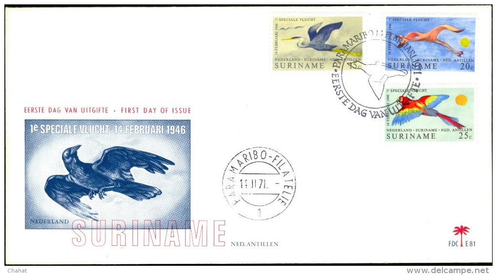 BIRDS-AMERICAN FLAMINGOS & OTHERS-VARIETY-FDC-SURINAME-1971-SCARCE-BX1-147 - Flamingos