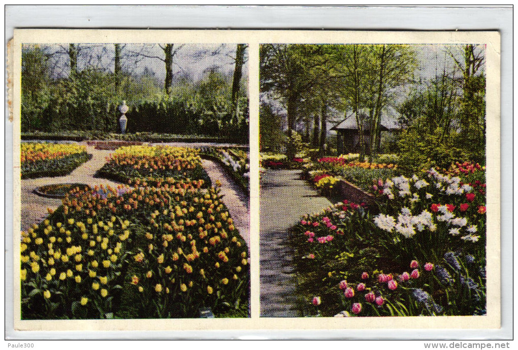 Lisse - Keukenhof - Lisse