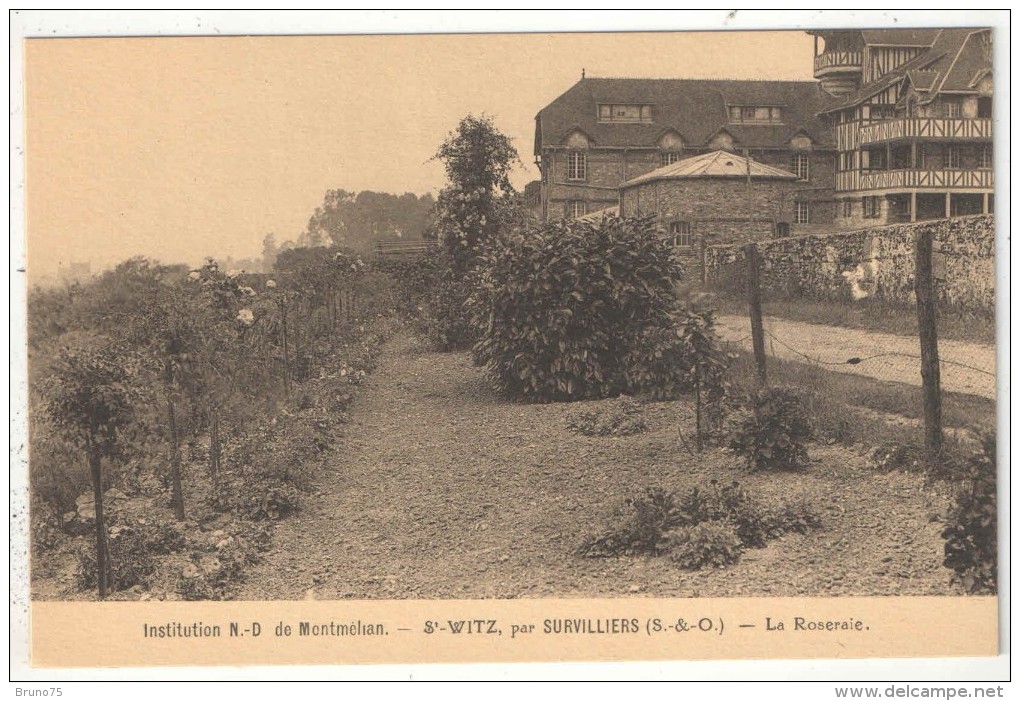 95 - SAINT-WITZ Par Survilliers - Institution N.-D. De Montmelian - La Roseraie - Saint-Witz