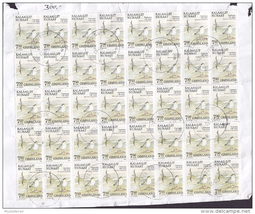 Greenland 1990 Mi. 200    7.50 Kr. Bird Vogel Oiseau Falkenraubmöwe 40-Block On Big Cutout Piece !!!! - Blocs