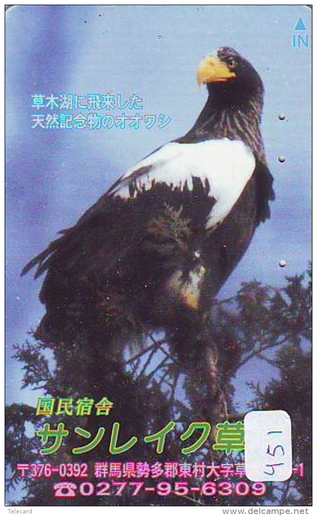 EAGLE - AIGLE - Adler - Arend - Águila - Bird - Oiseau (451) - Aigles & Rapaces Diurnes