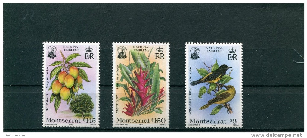 MONTSERRAT 1985.NATIONAL EMBLEMS. 3vMNH**.Mango.Oriole.Lobster Claw.Birds.Oiseaux.Fruits.Fruit.Flowers.Fleurs.Bird.Vogel - Montserrat