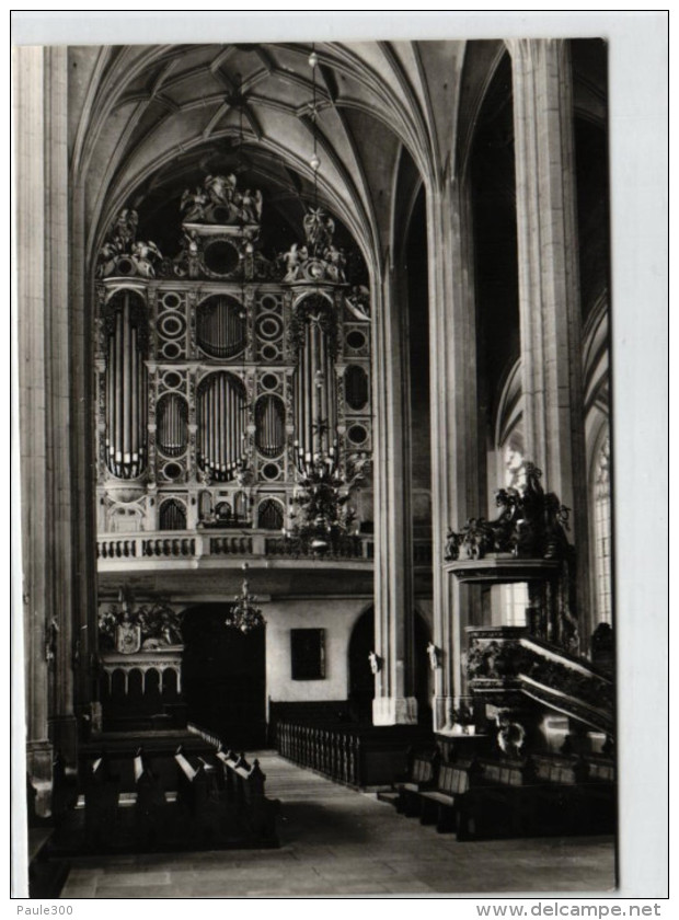 Görlitz - Peterskirche - Blick Zum Orgelprospekt - Goerlitz