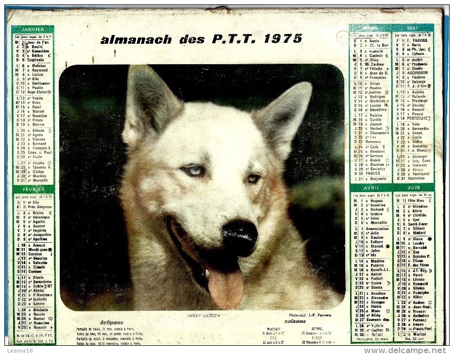 ALMANACH DES P.T.T 1975 (55)  -  Complet ** CHIEN HUSKY SIBERIEN - DERNIERE COUVEE POUSSINS ** Calendrier * OLLER * - Grand Format : 1971-80