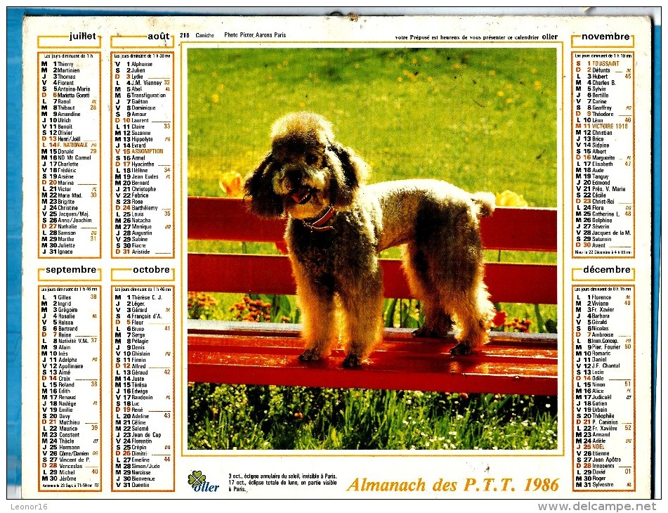 ALMANACH DES P.T.T 1986 (57) - Complet ** CHIEN CANICHE - CHATON DANS UN PANIER ** Calendrier * OLLER * N° 216 - Big : 1981-90