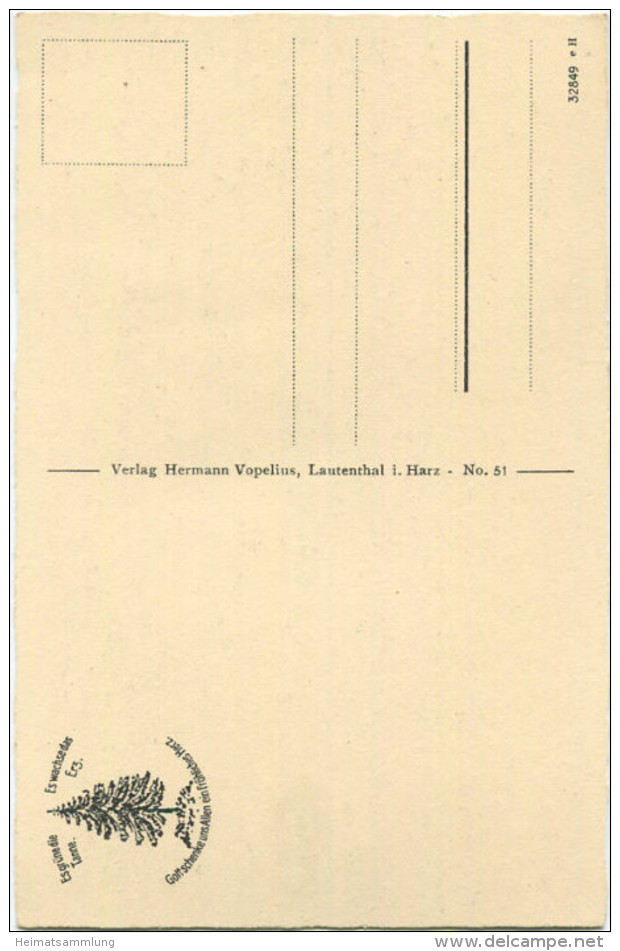 Lautenthal - Waldschlösschen - Verlag Hermann Vopelius Lautenthal - Langelsheim