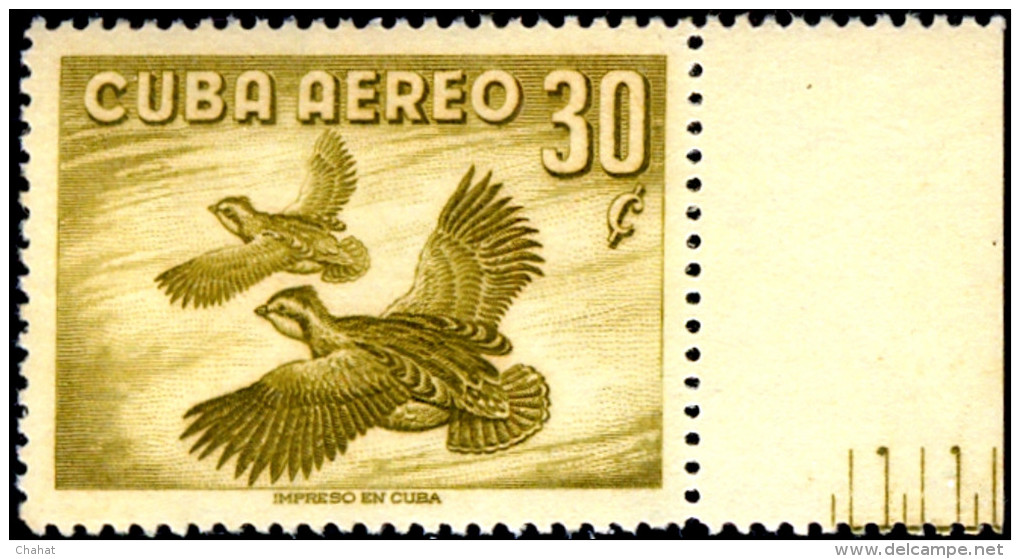 BIRDS-QUAILS-NOTHERN BOBWHITE-CUBA-1956-MNH-EXTREMELY SCARCE-D1-7 - Patrijzen, Kwartels