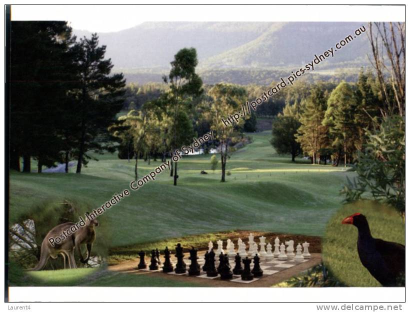 Kangaroo Valley Golf Club - Kangaroo + Bird - Golf