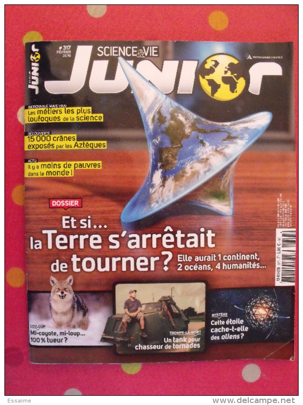 Lot De 2 Revues Science Et Vie Junior HS N° 113 (2015) Et N° 317 (2016) - Science