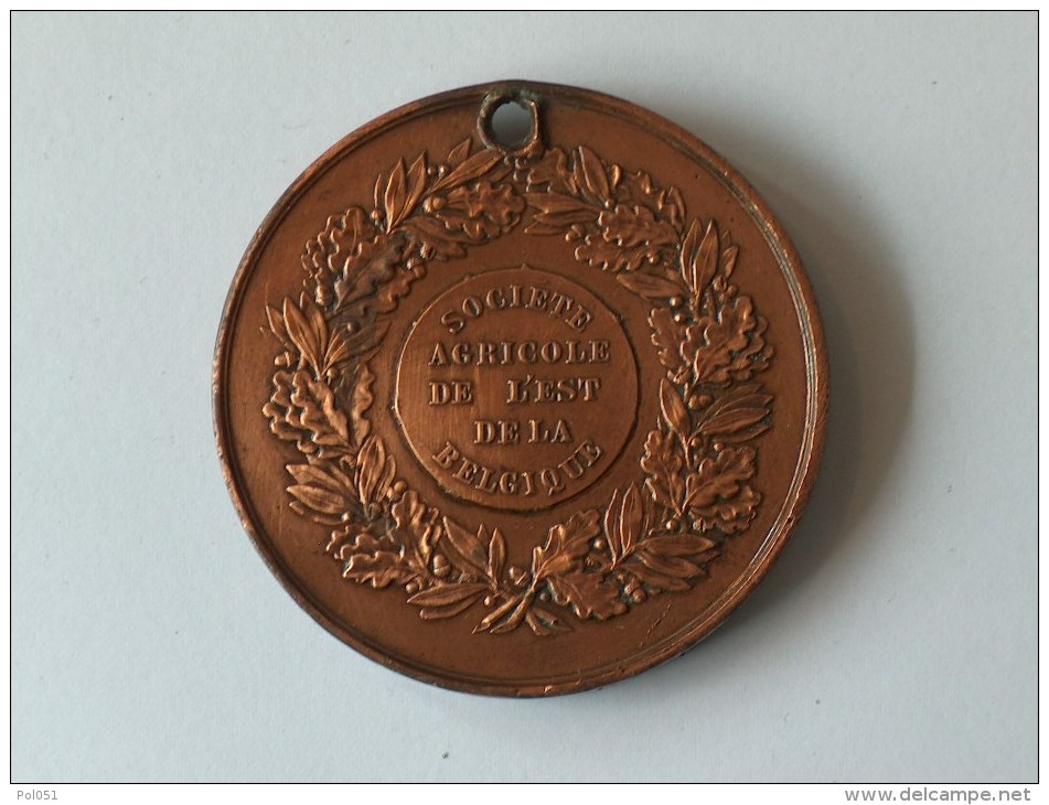 MEDAILLE LEOPOLD I ROI DES BELGES SOCIETE AGRICOLE DE L EST DE LA BELGIQUE - Professionnels / De Société