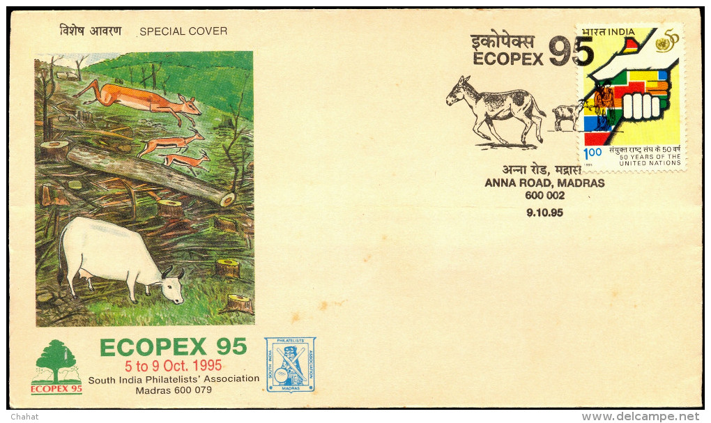 WILD LIFE-DONKEYS-WILD ASS-CONSERVATION-PICTORIAL CANCEL-ECOPEX 95-SPECIAL COVER-INDIA-1995-BX1-349 - Esel