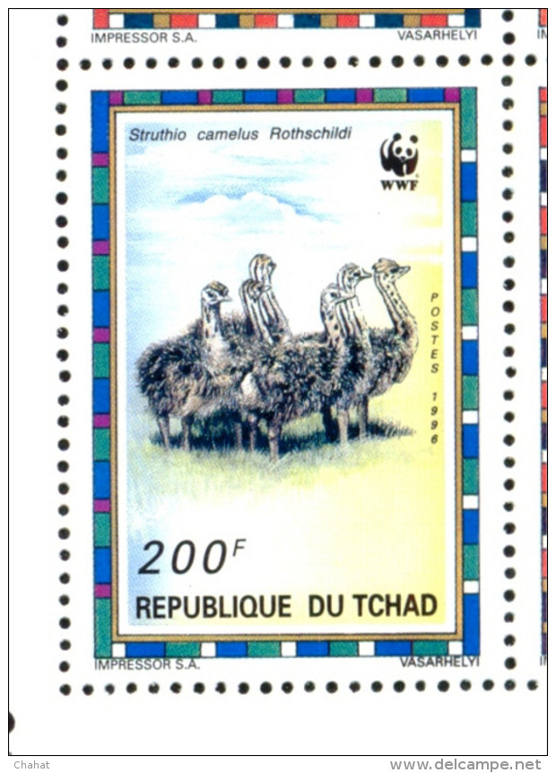 BIRDS-COMMON OSTRICH-WWF-SET OF 4 DELUXE CARDS WITH SETENANT BLOCK-CHAD-1996-ERROR-MNH-SCARCE-D2-10