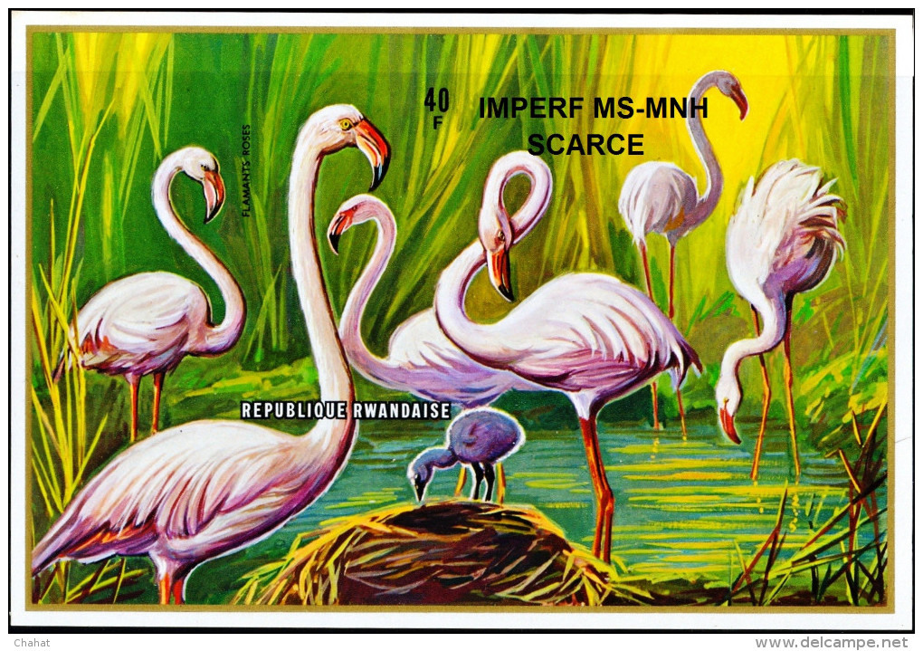 AQUATIC BIRDS-GREATER FLAMINGOS-IMPERF MS-RWANDA-MNH-MS-EXTREMELY SCARCE-D3-02 - Flamingos