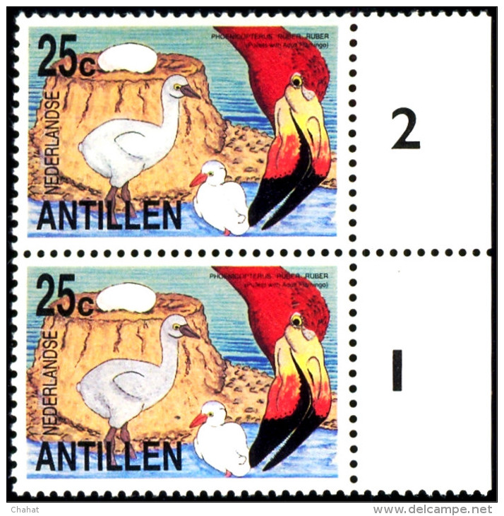 AQUATIC BIRDS- AMERICAN FLAMINGOS-ADULT WITH PULLETS-MARGINAL PAIR  WITH FAULTS-NEDERLANDS ANTILLES-1985-MNH-D3-08 - Flamants