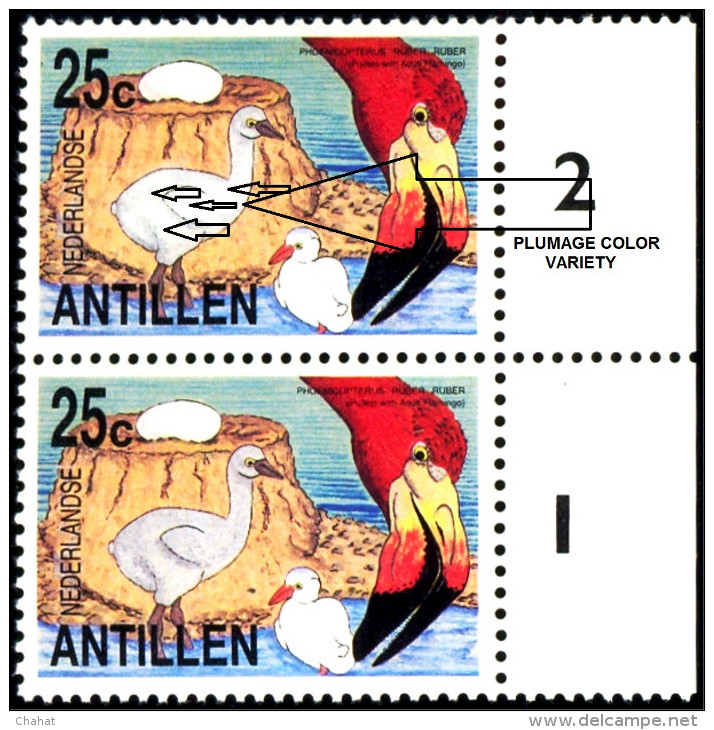 AQUATIC BIRDS- AMERICAN FLAMINGOS-ADULT WITH PULLETS-MARGINAL PAIR  WITH FAULTS-NEDERLANDS ANTILLES-1985-MNH-D3-08 - Flamants