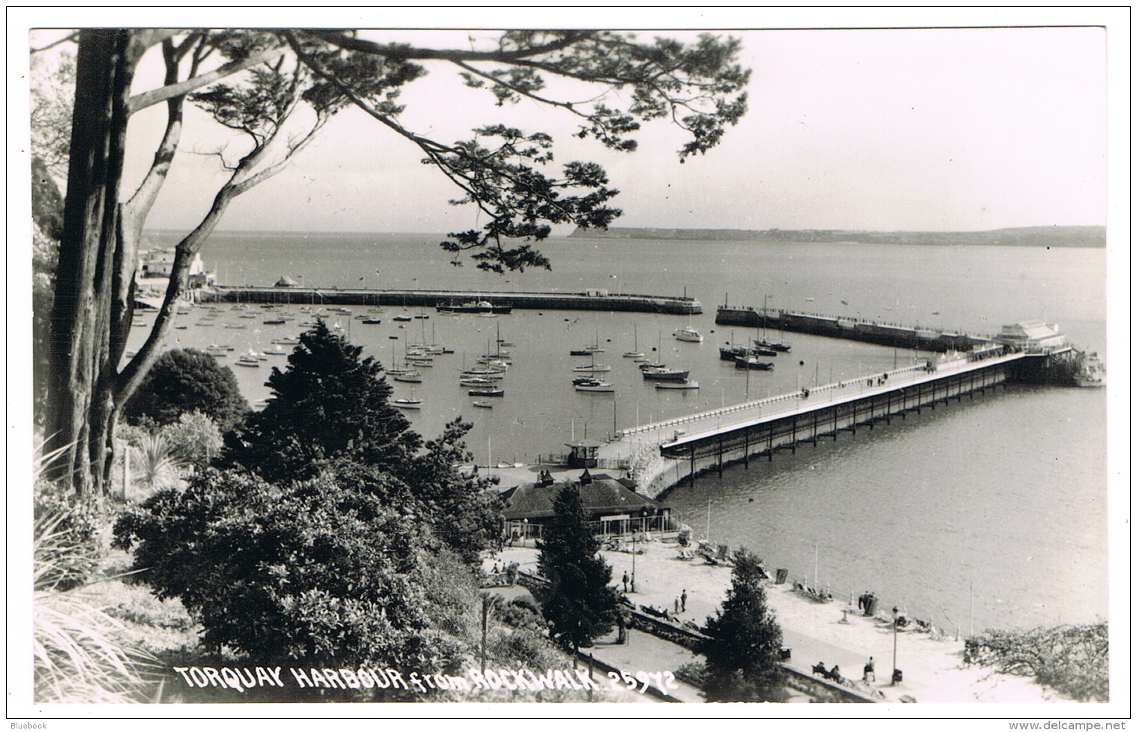 RB 1088 - Chapman Real Photo Postcard - Torquay Harbour Fron Rockwalk - Devon - Torquay