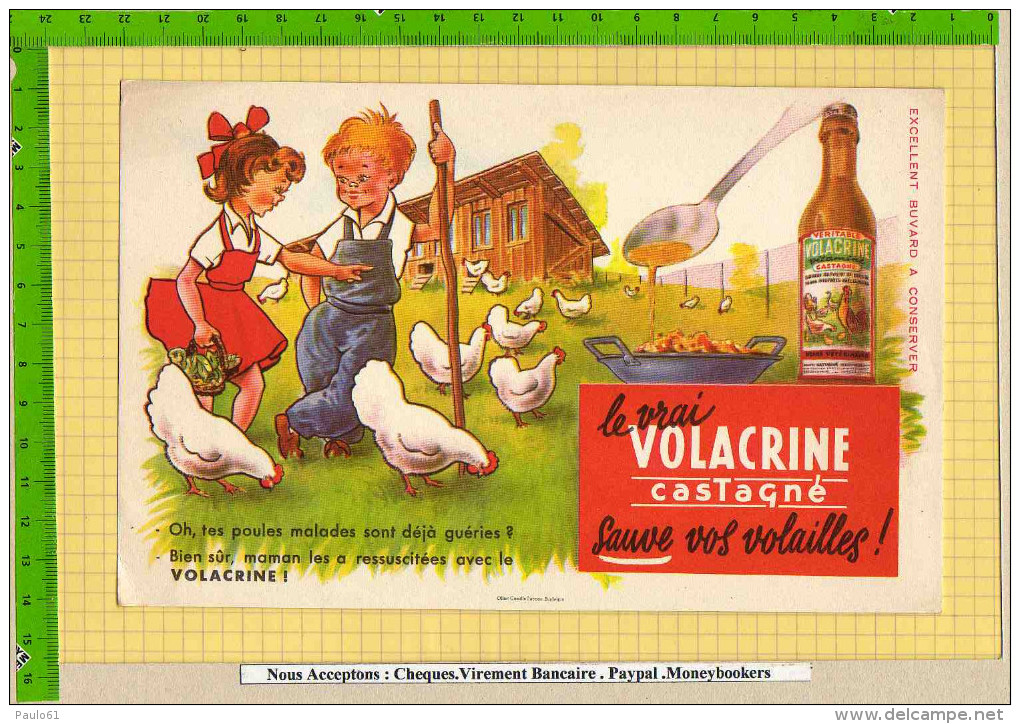 Buvard & Blotting Paper :   Volacrine Sauve Vos Volailles  Enfants Poulets - Dieren