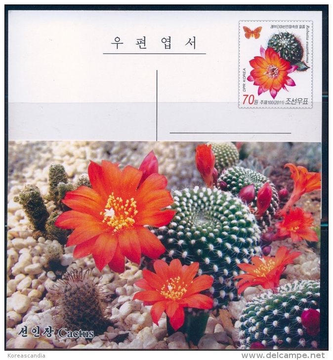 NORTH KOREA 2011 CACTUS &amp; BUTTERFLY POSTCARD MINT - Cactusses