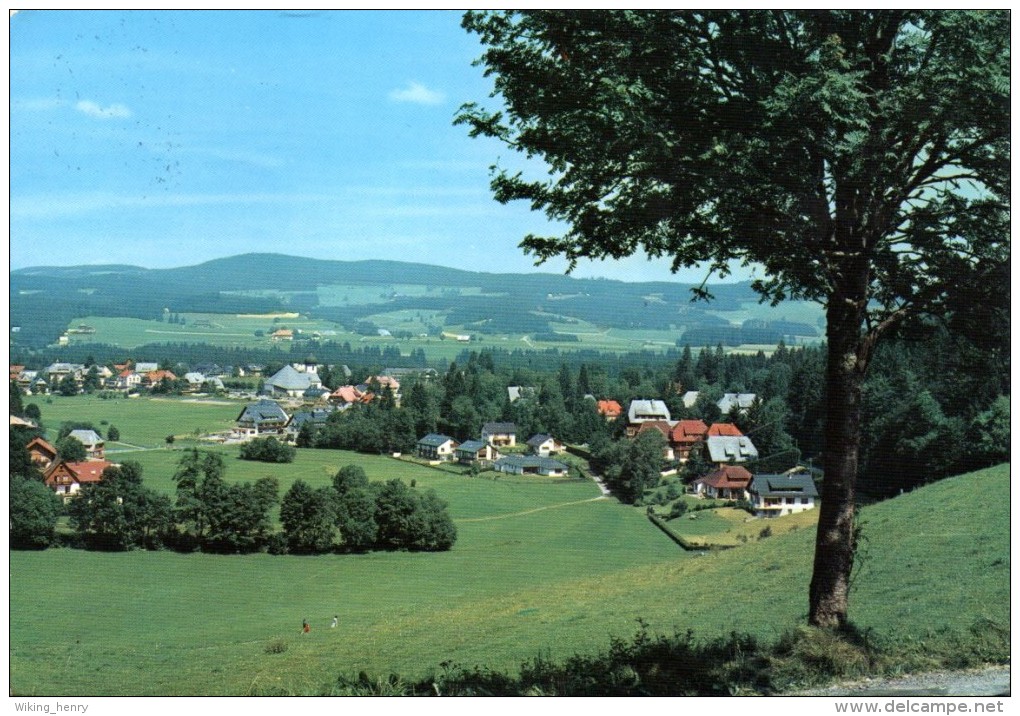 Hinterzarten - Ortsansicht 8 - Hinterzarten