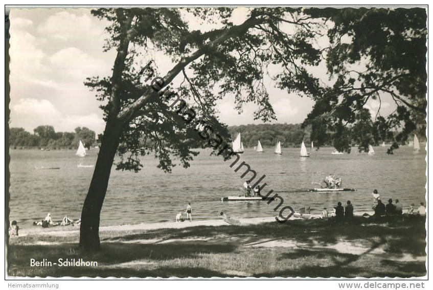 Berlin - Schildhorn - Foto-Ansichtskarte - Grunewald