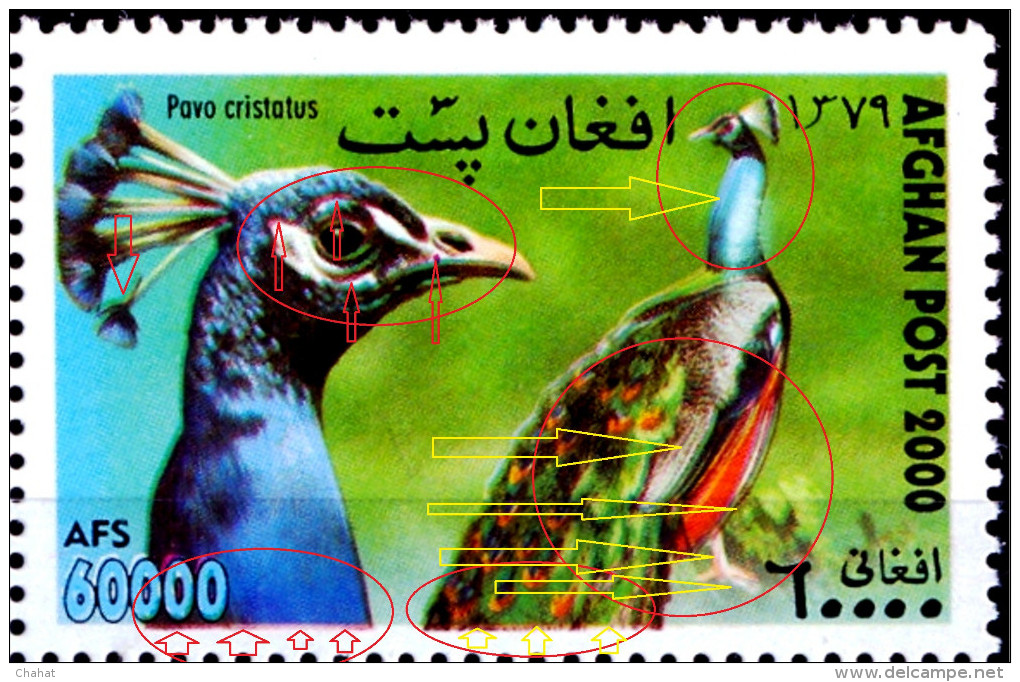 BIRDS-PHEASANTS-PEACOCKS-AFGHANISTAN-2000-BLOCK OF 4-ERROR-MNH-SCARCE-B9-653 - Peacocks