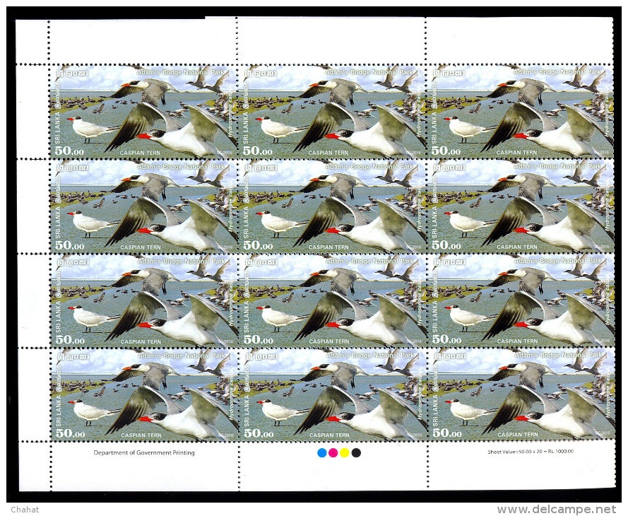 WATER BIRDS-GR.FLAMINGO-DUCK-TERN-WORLD WETLANDS DAY-MS+SHEETS+M.CARDS+FDC-SRI LANKA-D3-12