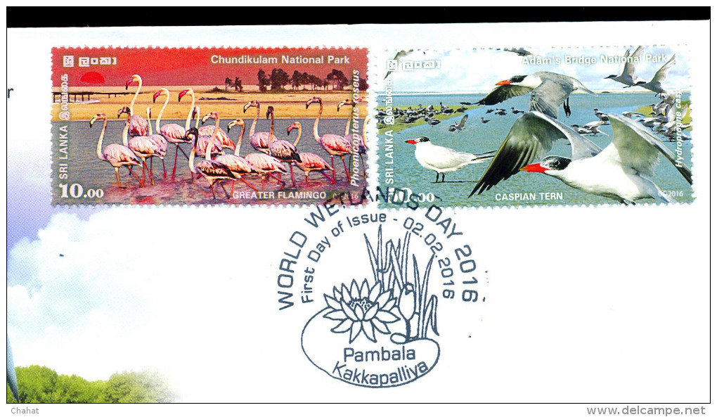 WATER BIRDS-GR.FLAMINGO-DUCK-TERN-WORLD WETLANDS DAY-MS+SHEETS+M.CARDS+FDC-SRI LANKA-D3-12