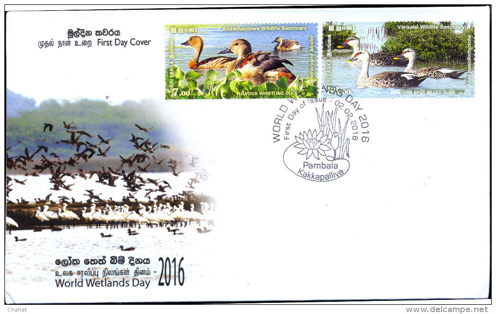 WATER BIRDS-GR.FLAMINGO-DUCK-TERN-WORLD WETLANDS DAY-MS+SHEETS+M.CARDS+FDC-SRI LANKA-D3-12