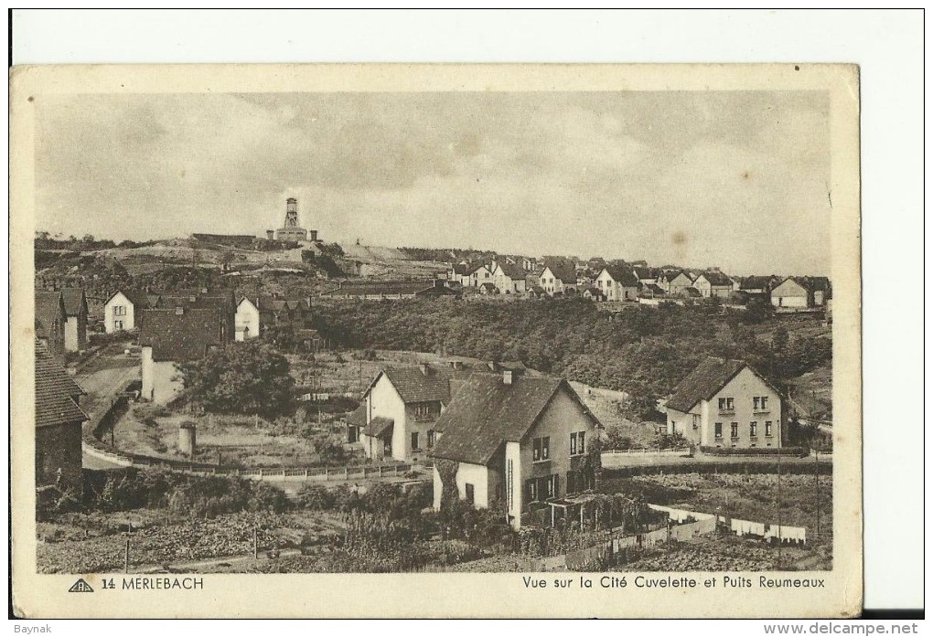 FR2356   --  MERLEBACH   --  VUE SUR LA  CITE CUVELETE ET PUITS REUMEAUX - Freyming Merlebach