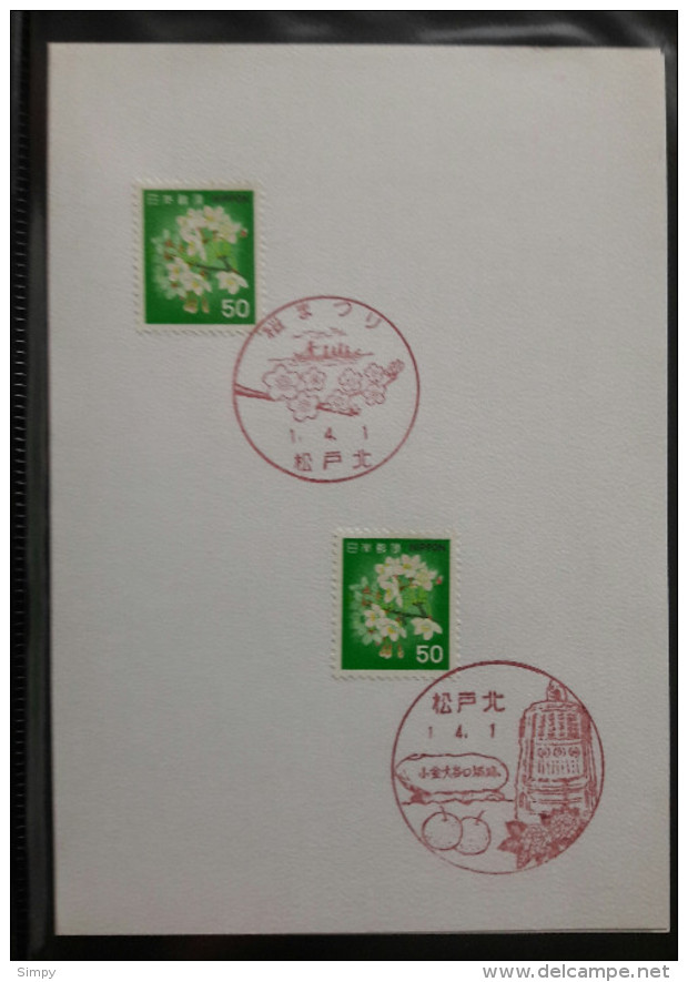 JAPAN  Commemorative Cover Postmark  Flowers, Friuts, Flora 1. 4. 1 - Covers