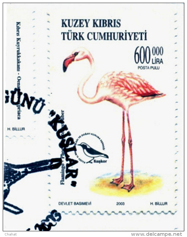 BIRDS-FLAMINGOS-ERROR-FDC-NORTHERN TURKISH CYPRUS-2003-SCARCE-D3-17 - Flamingos