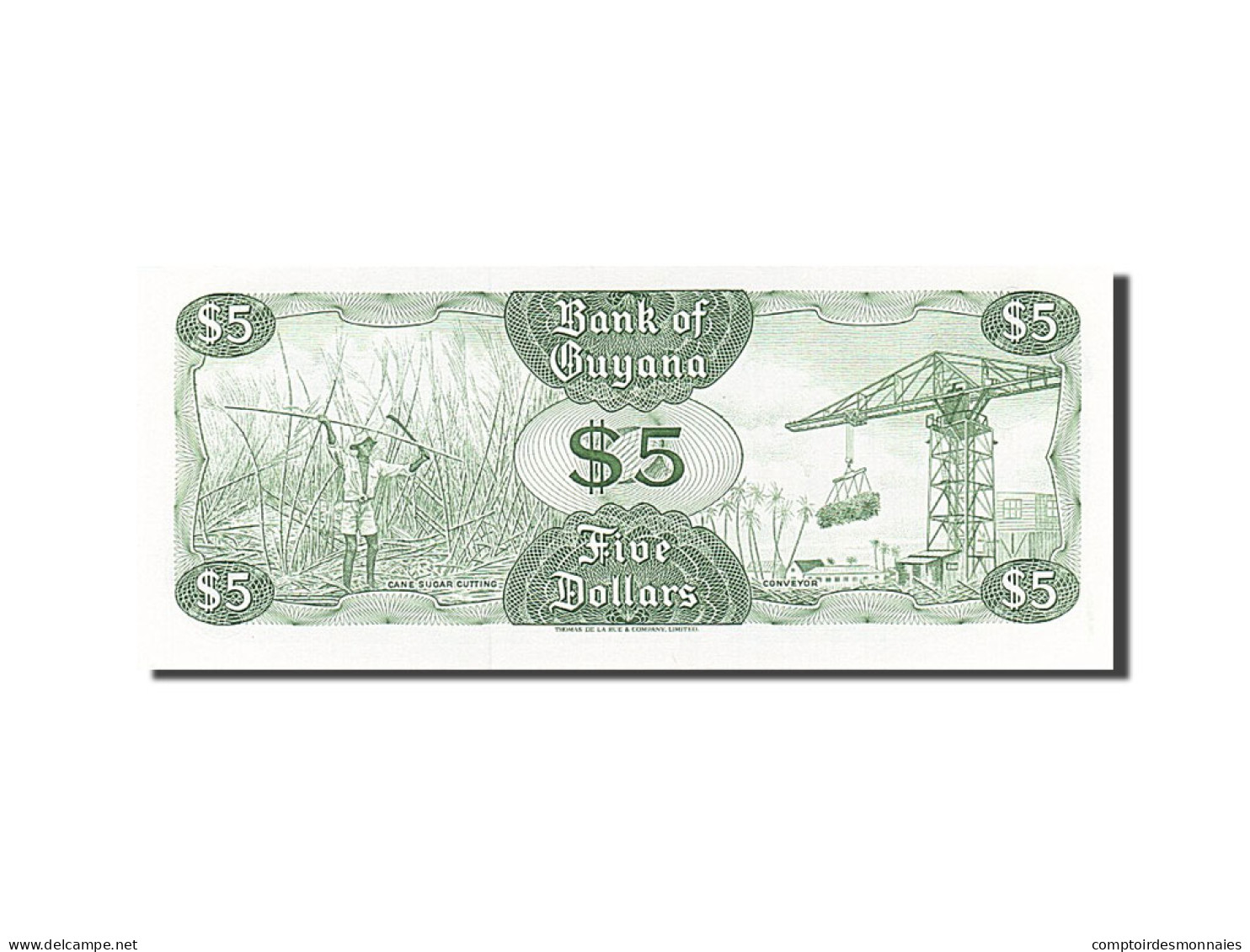 Billet, Guyana, 5 Dollars, 1966, 1992, KM:22f, NEUF - Guyana