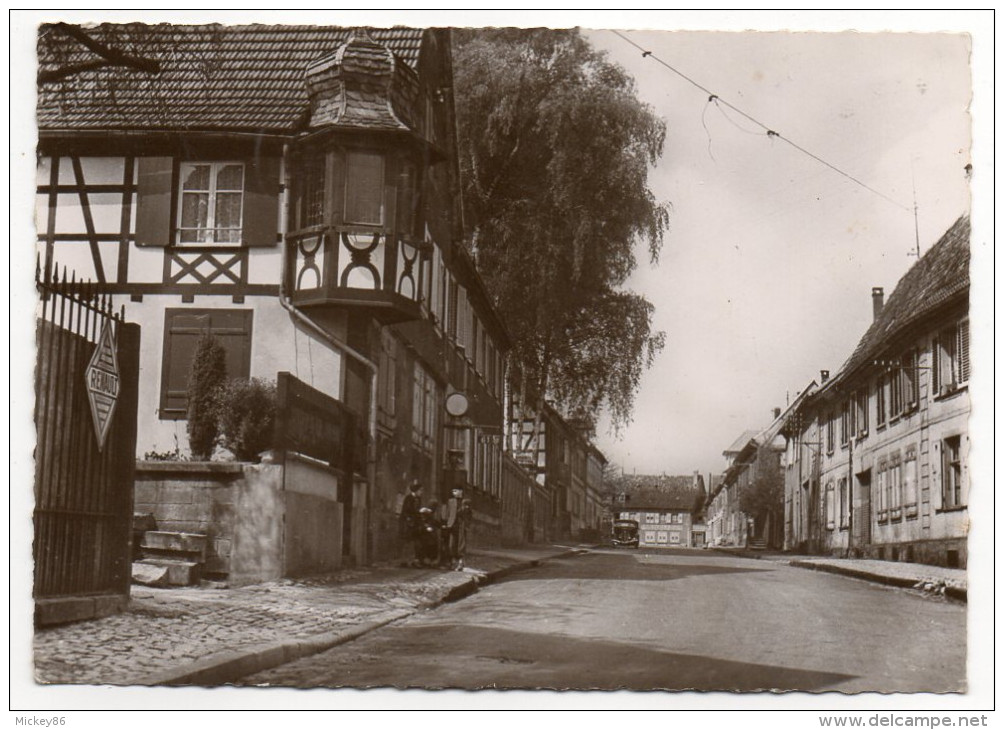 BISCHWILLER--1955--Rue Du Chateau(animée,voiture,Pub Renault),cpsm 15 X 10 Collec Bertrand-Beau Cachet - Bischwiller